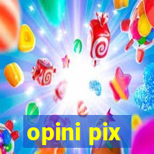 opini pix